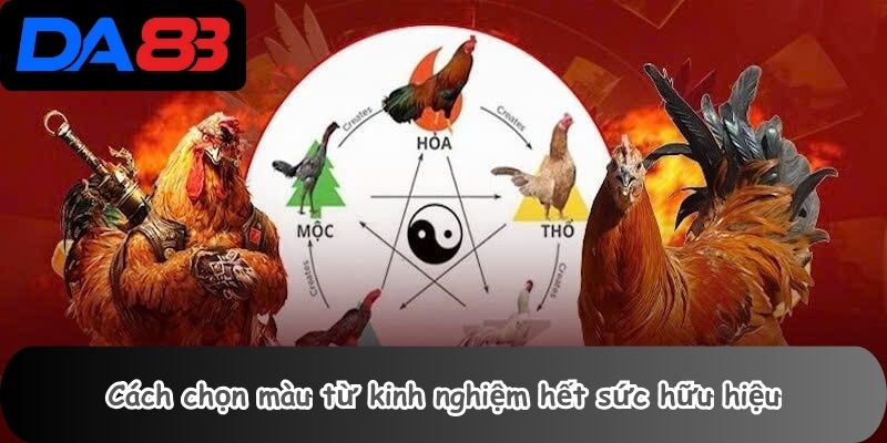 Cách chọn màu gà chiến trực tuyến từ kinh nghiệm hết sức hữu hiệu