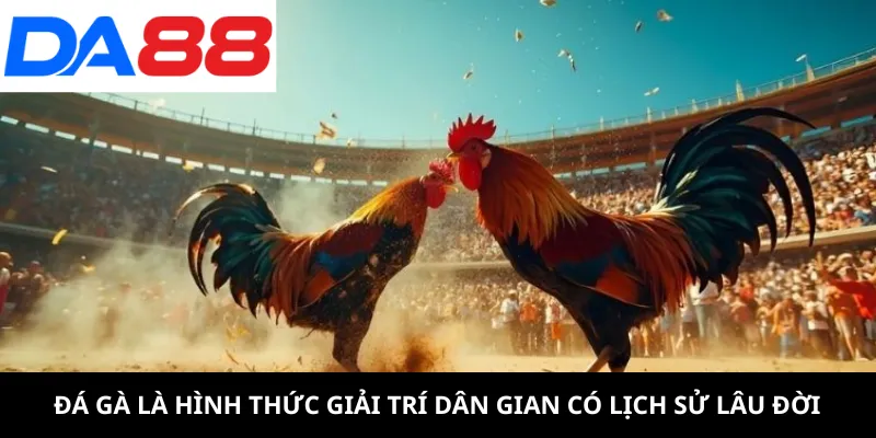 Đá gà là hình thức giải trí dân gian có lịch sử lâu đời