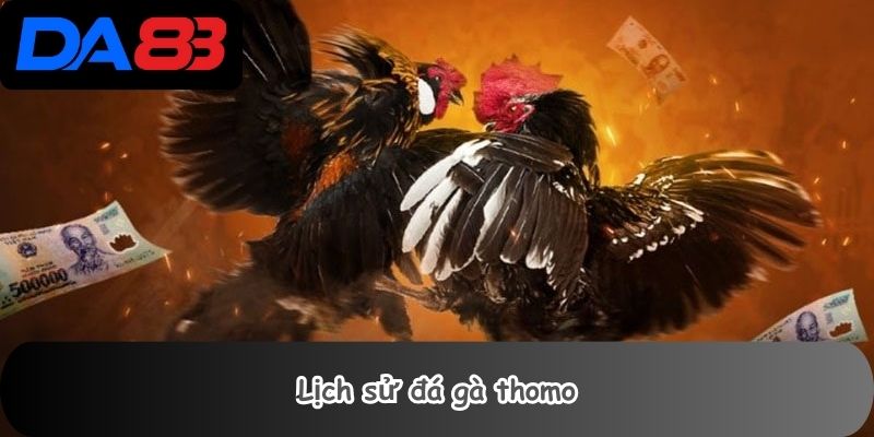 Đá Gà Thomo 1 Lịch sử đá gà thomo